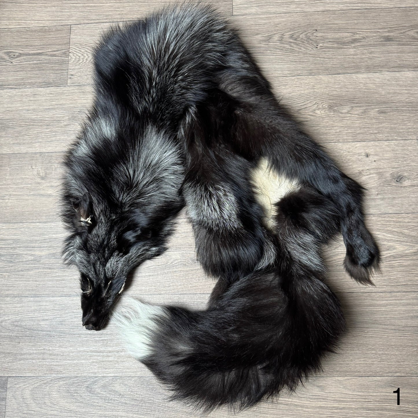 Silver fox pelt (1)