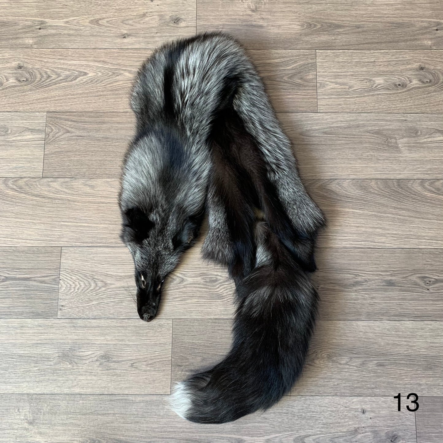 Silver fox pelt (13)