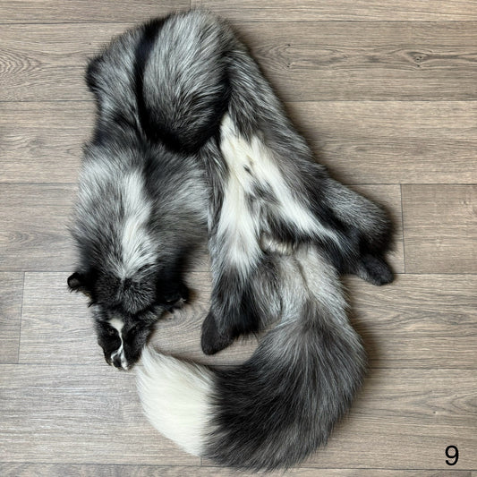 Silver Ringneck fox pelt (9)