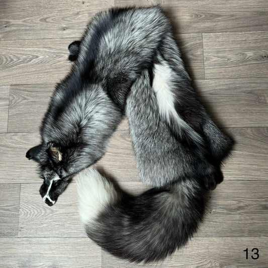 Silver Ringneck fox pelt (13)