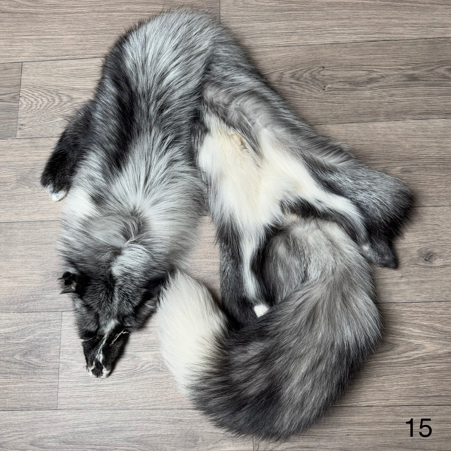 Silver Ringneck fox pelt (15)