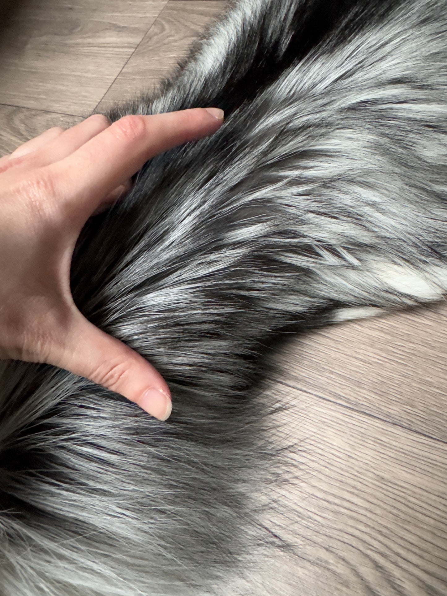 Silver Ringneck fox pelt (22)