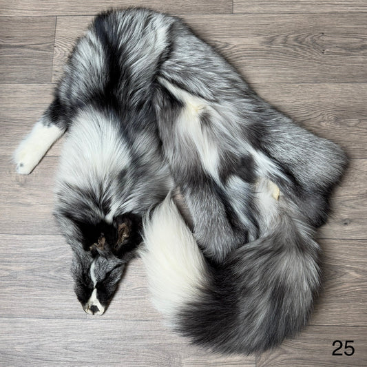 Silver Ringneck fox pelt (25)