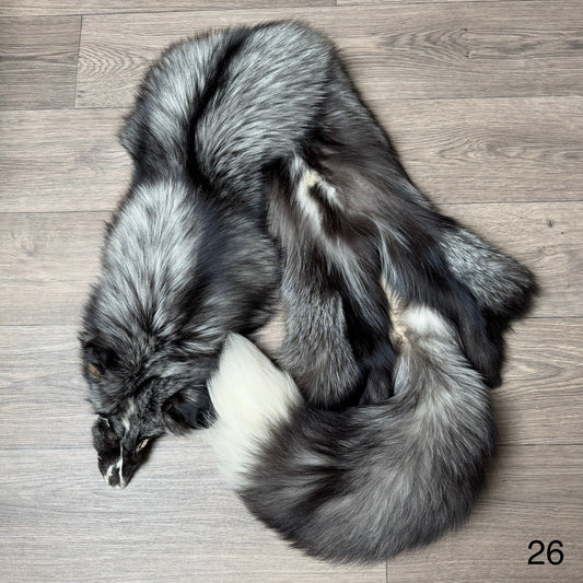 Silver Ringneck fox pelt (26)