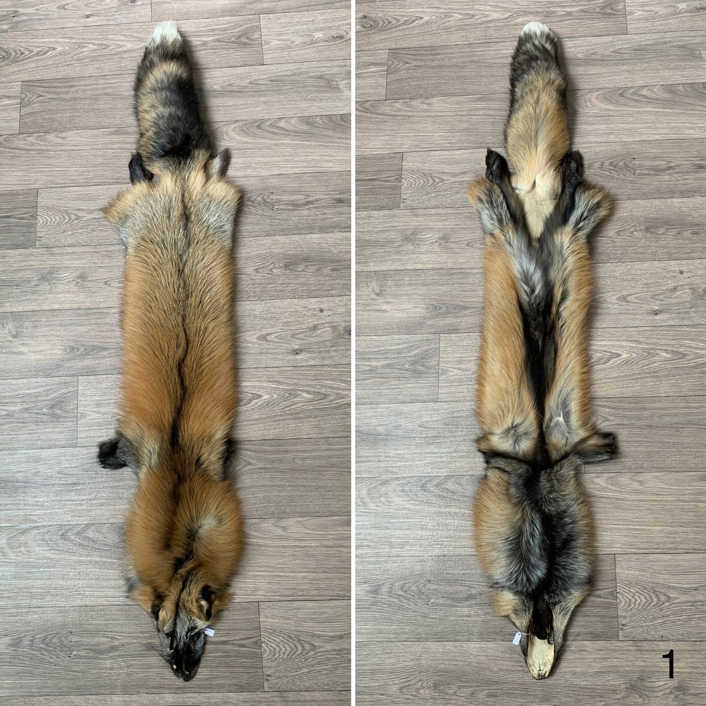 Cross fox pelt (1)