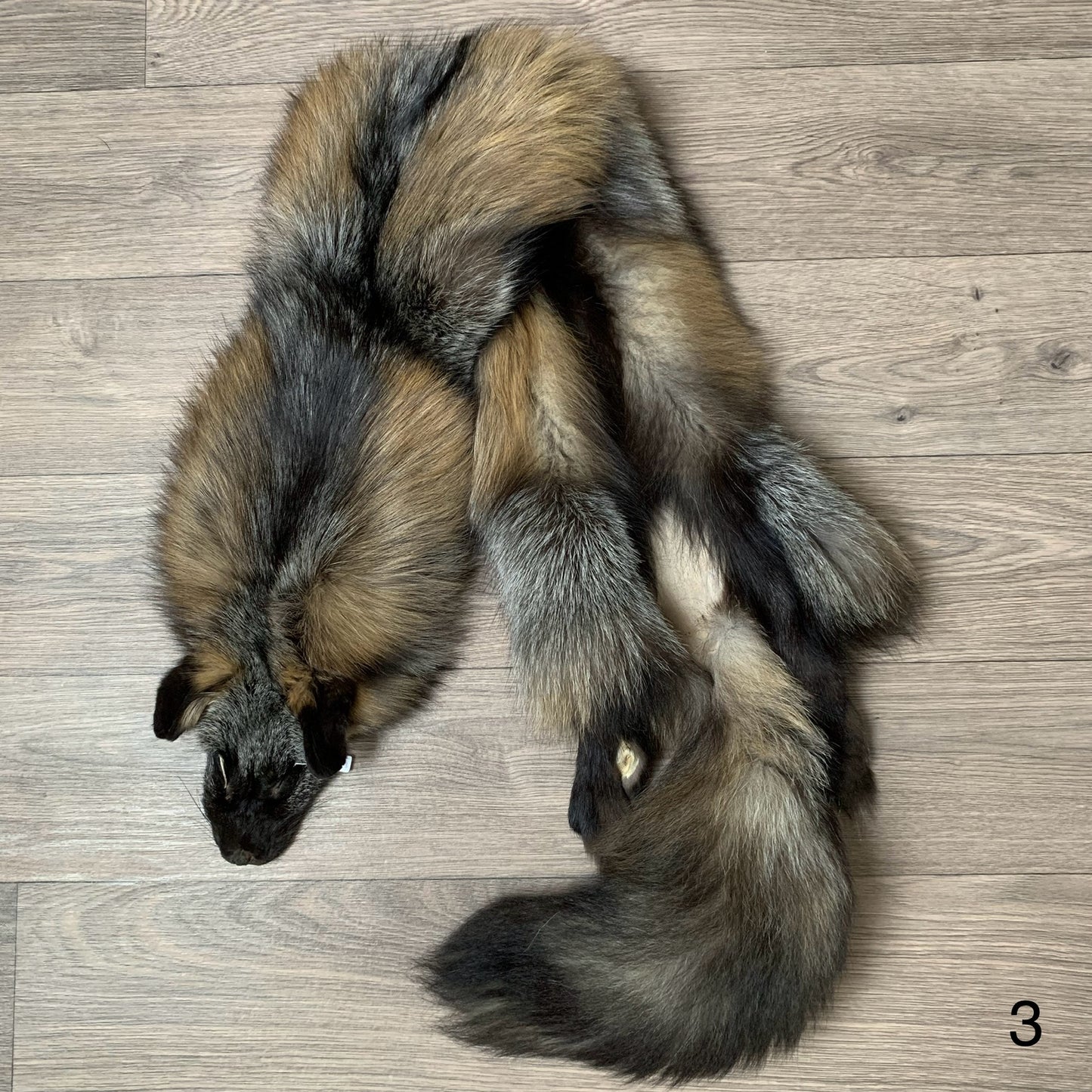 Cross fox pelt (3)