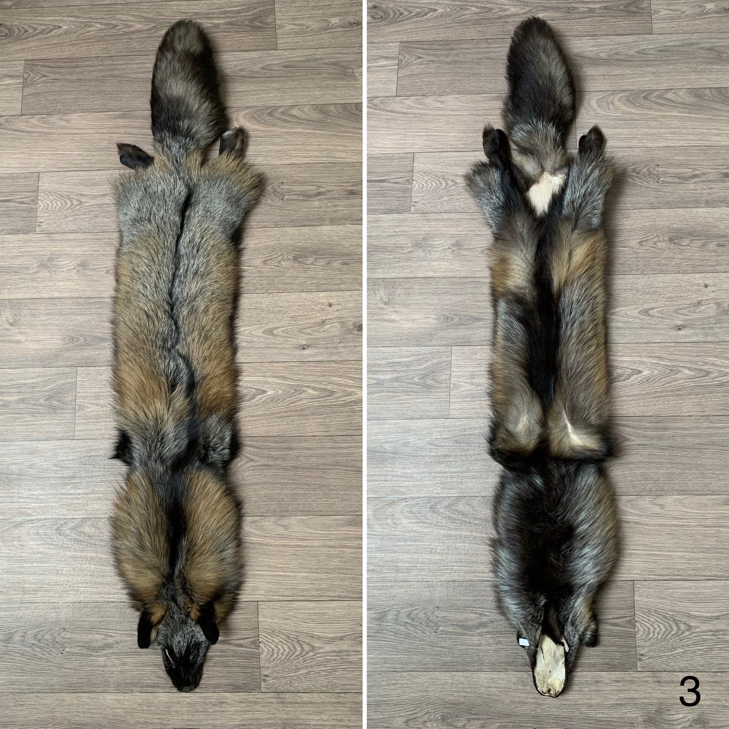 Cross fox pelt (3)