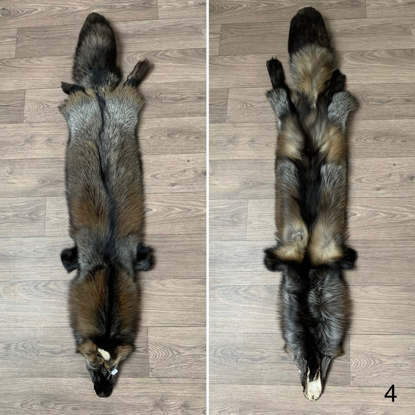 Cross fox pelt (4)