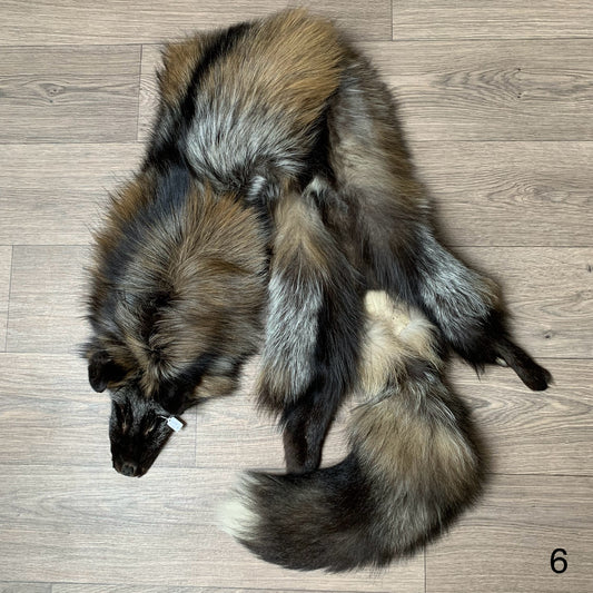 Cross fox pelt (6)