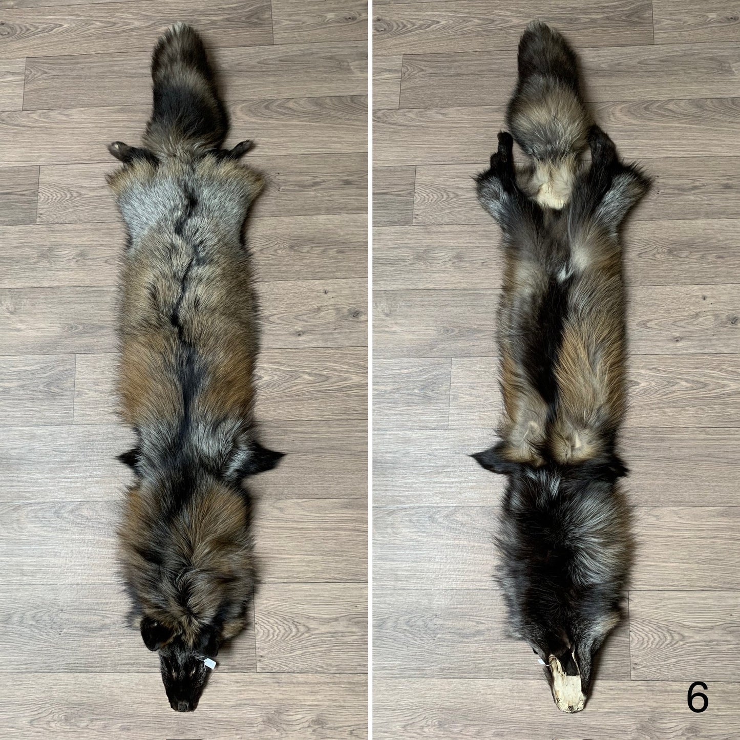 Cross fox pelt (6)