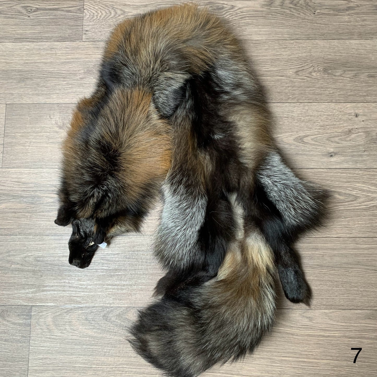 Cross fox pelt (7)