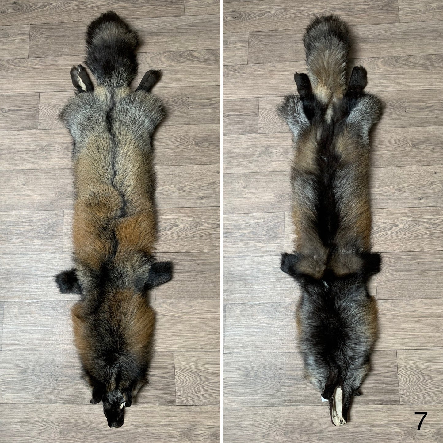 Cross fox pelt (7)