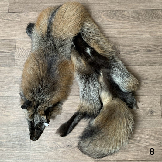 Cross fox pelt (8)