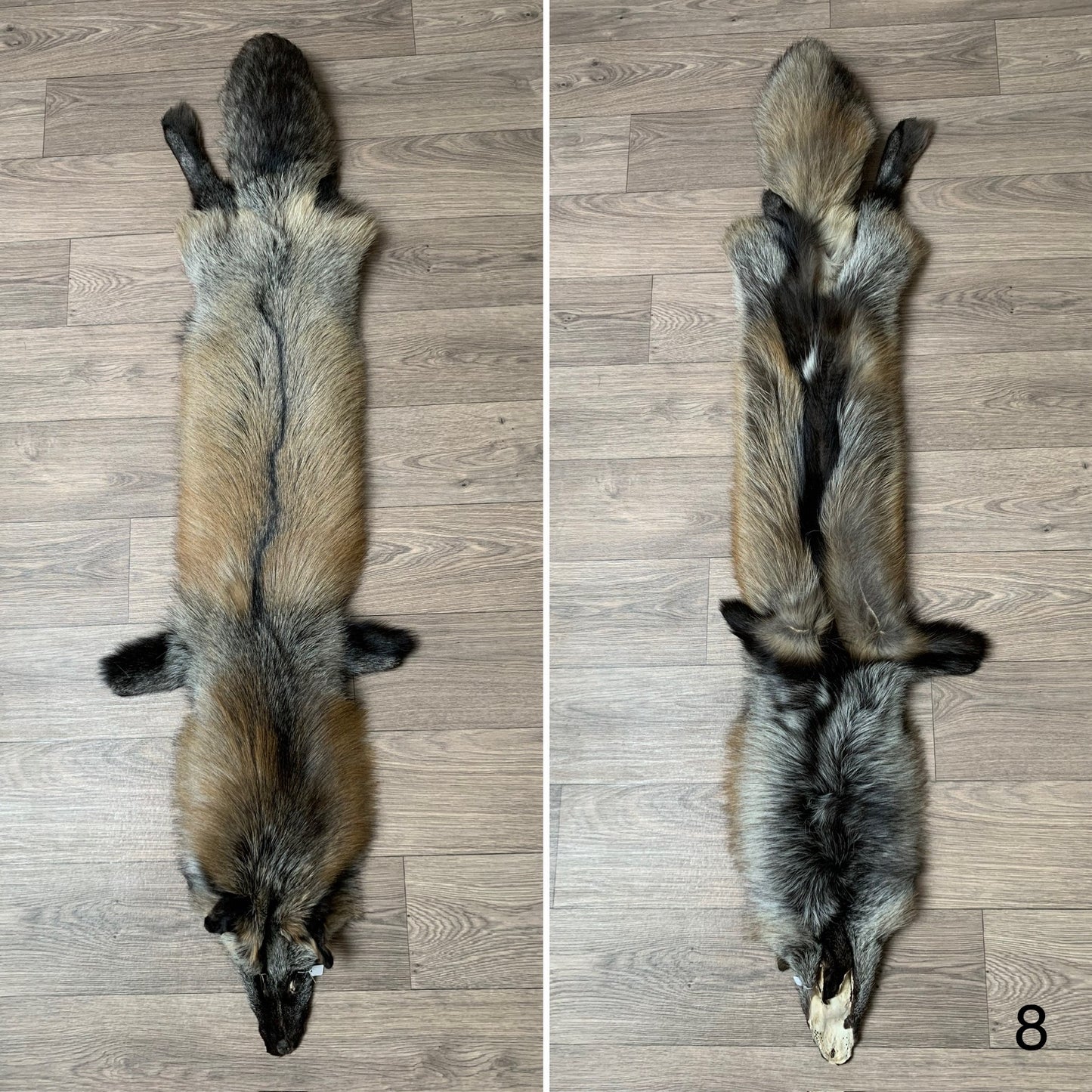 Cross fox pelt (8)