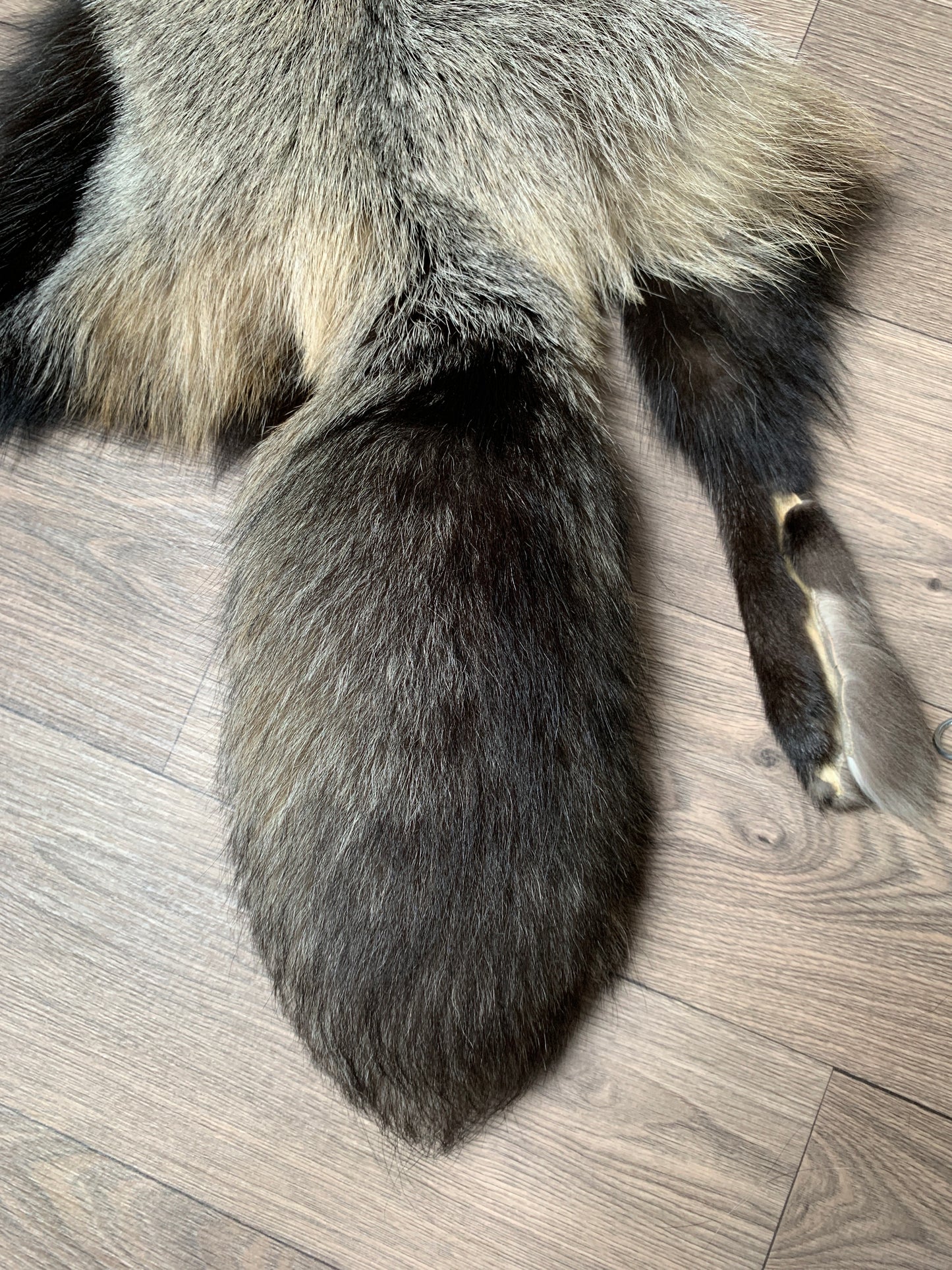 Cross fox pelt (8)