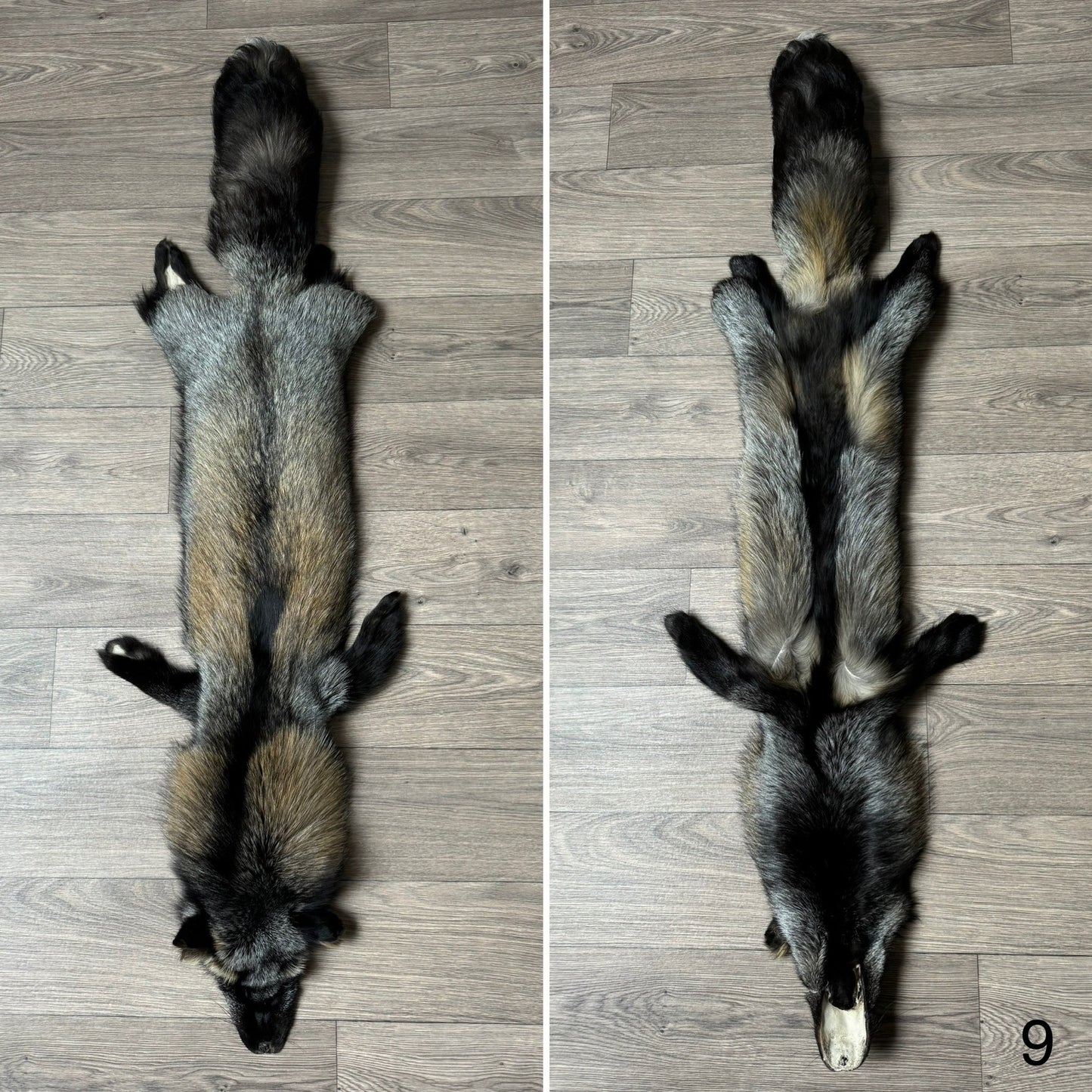 Cross fox pelt (9)