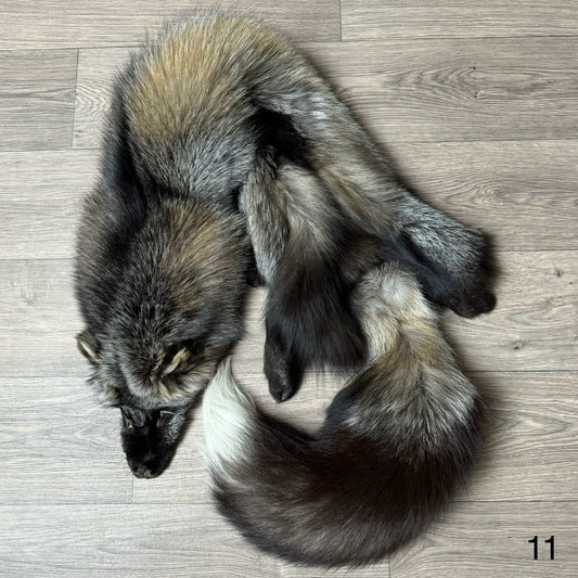 Cross fox pelt (11)