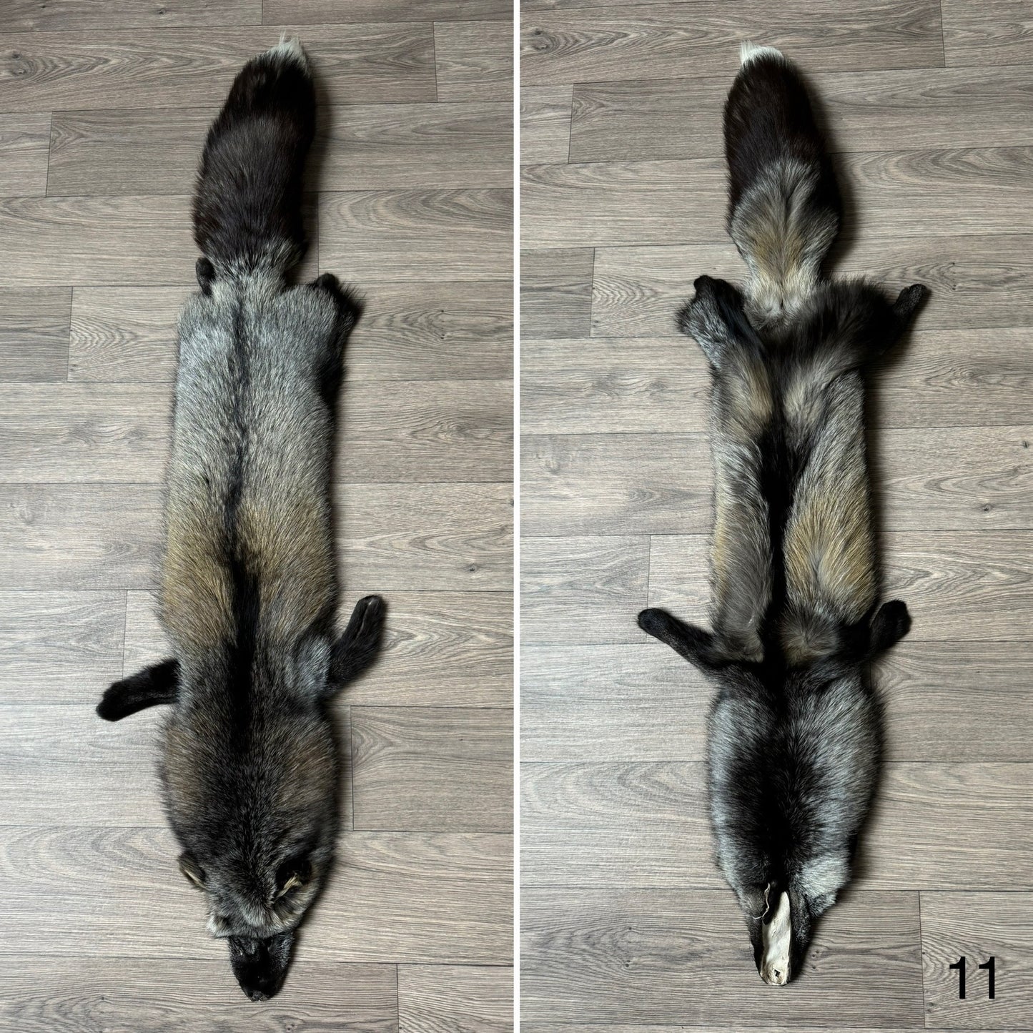 Cross fox pelt (11)