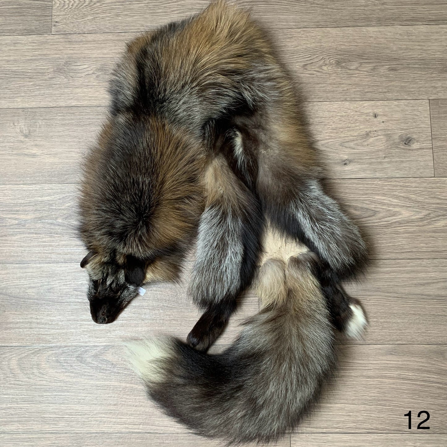 Cross fox pelt (12)