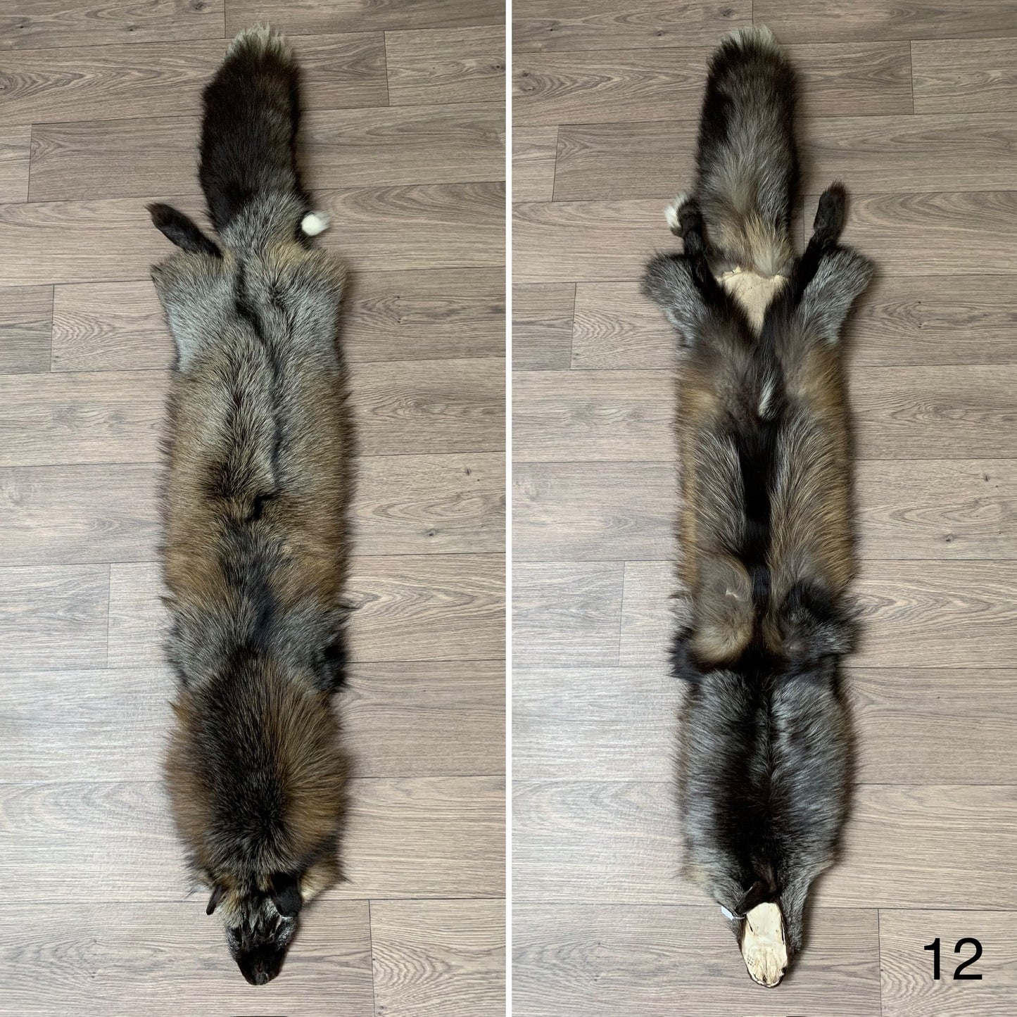 Cross fox pelt (12)