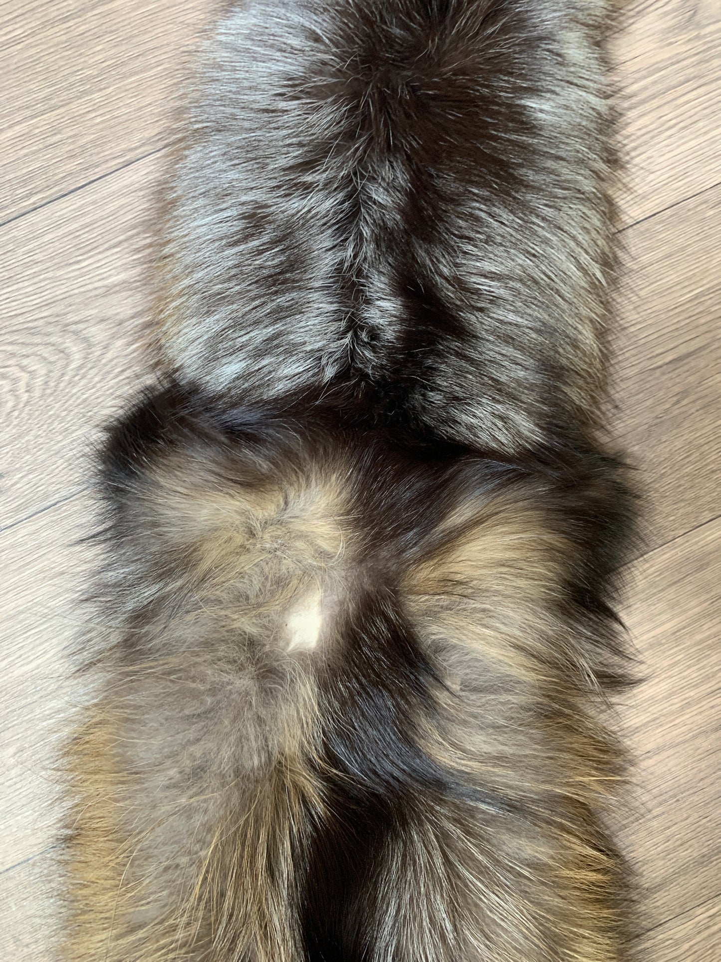 Cross fox pelt (12)