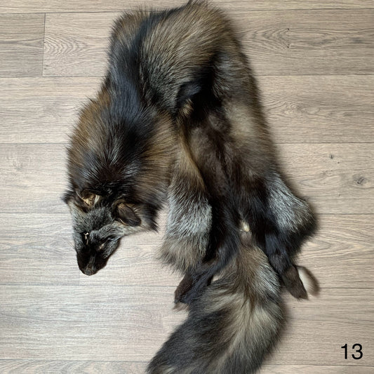 Cross fox pelt (13)