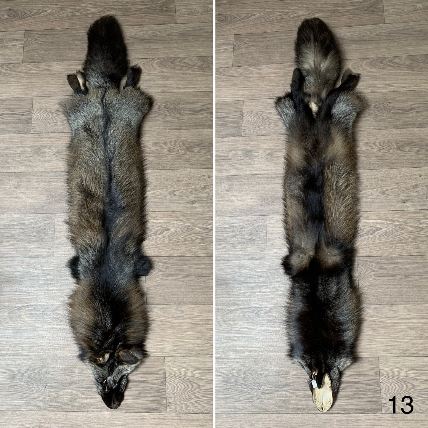 Cross fox pelt (13)