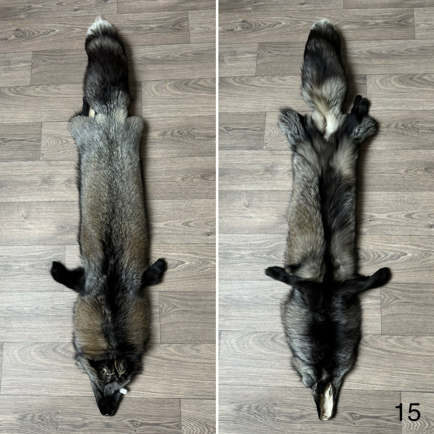 Cross fox pelt (15)