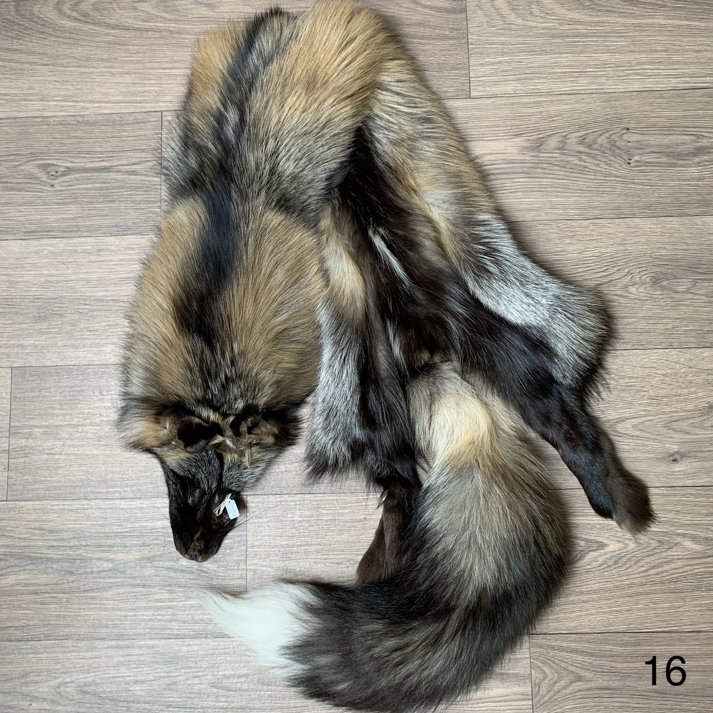 Cross fox pelt (16)