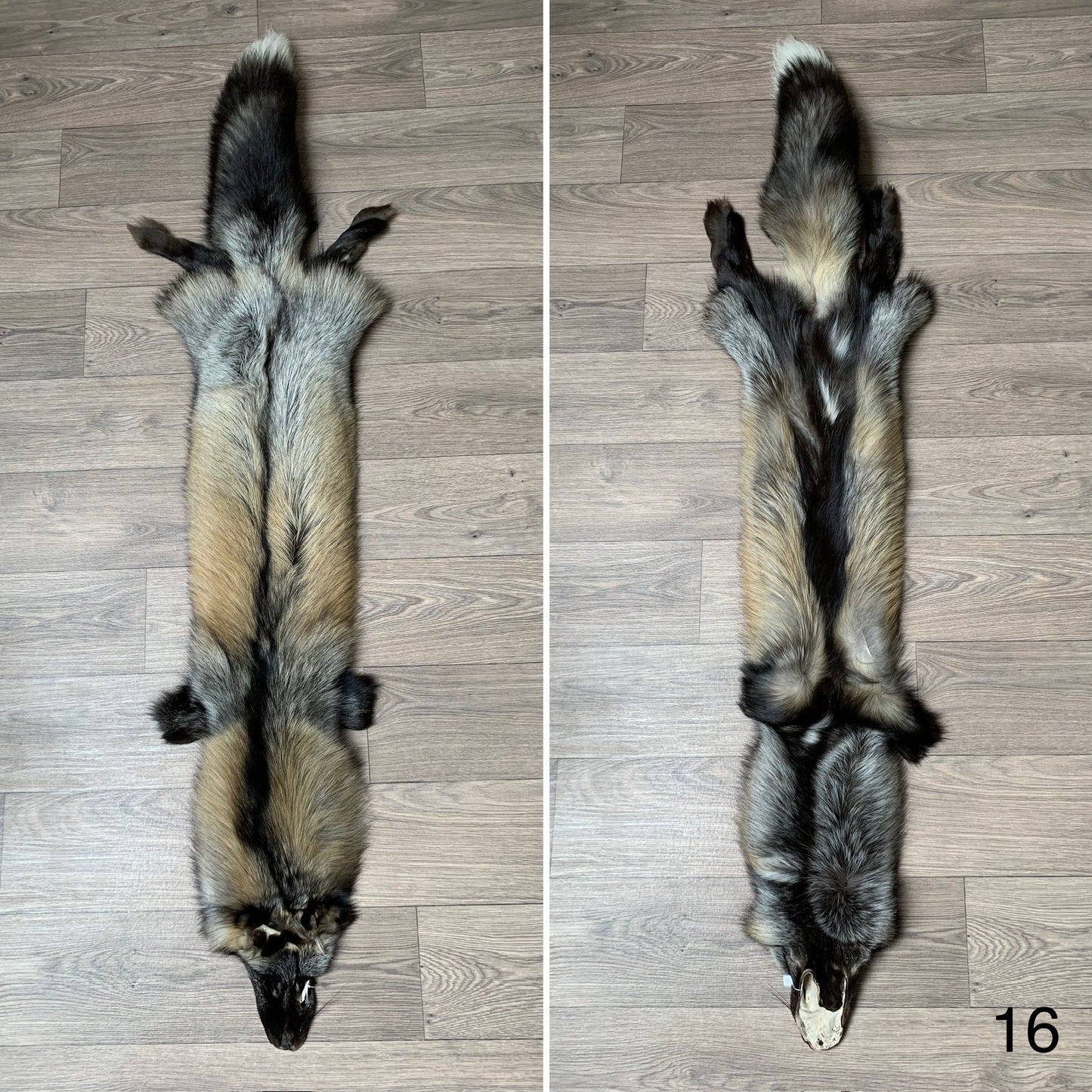 Cross fox pelt (16)