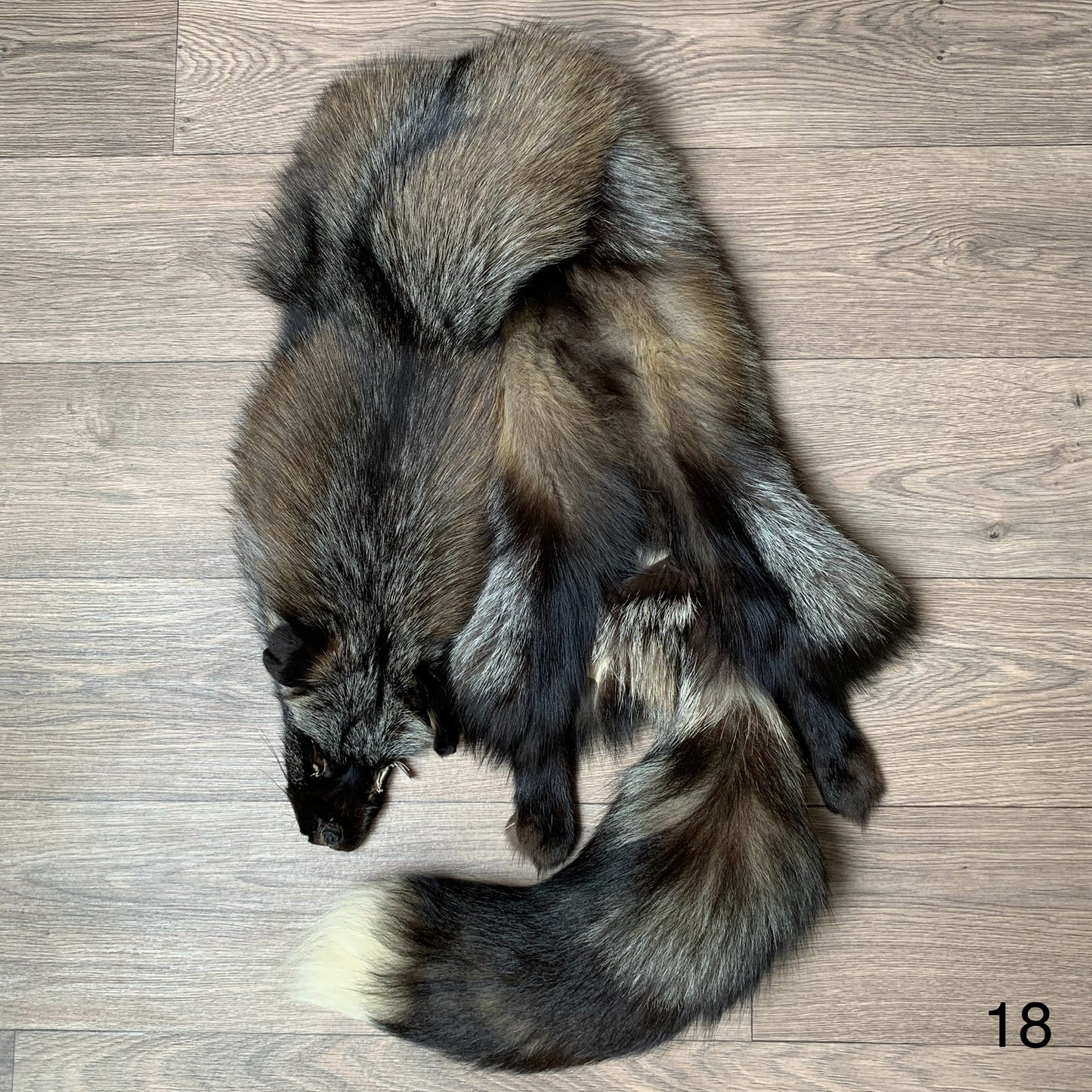 Cross fox pelt (18)