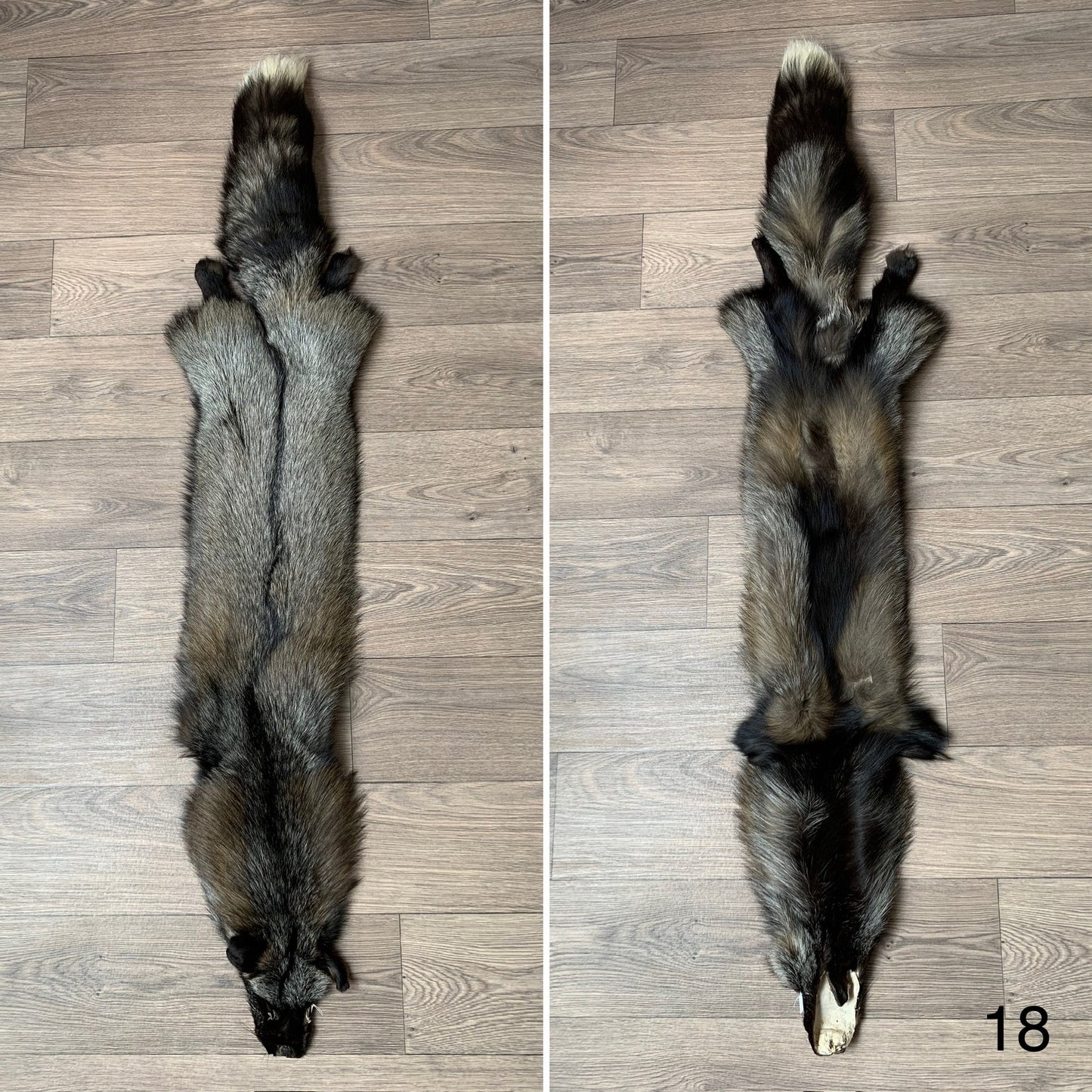 Cross fox pelt (18)