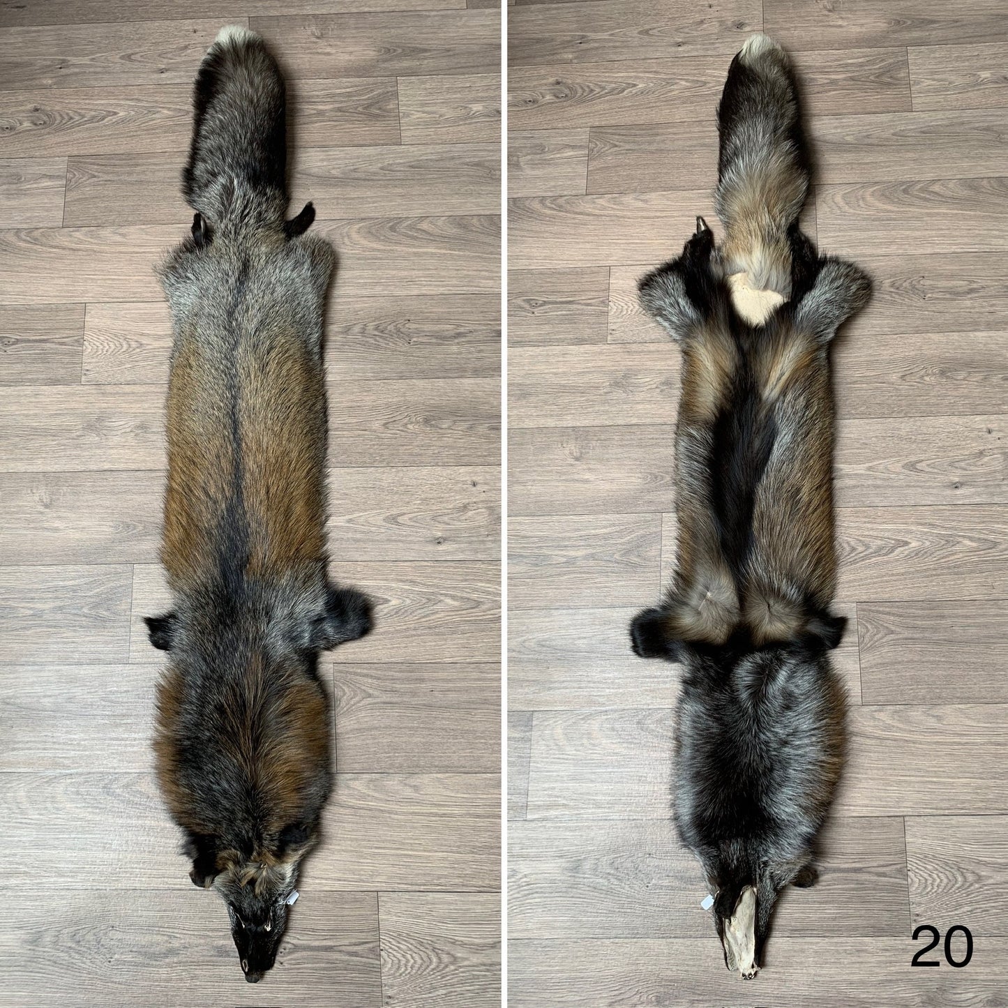 Cross fox pelt (20)