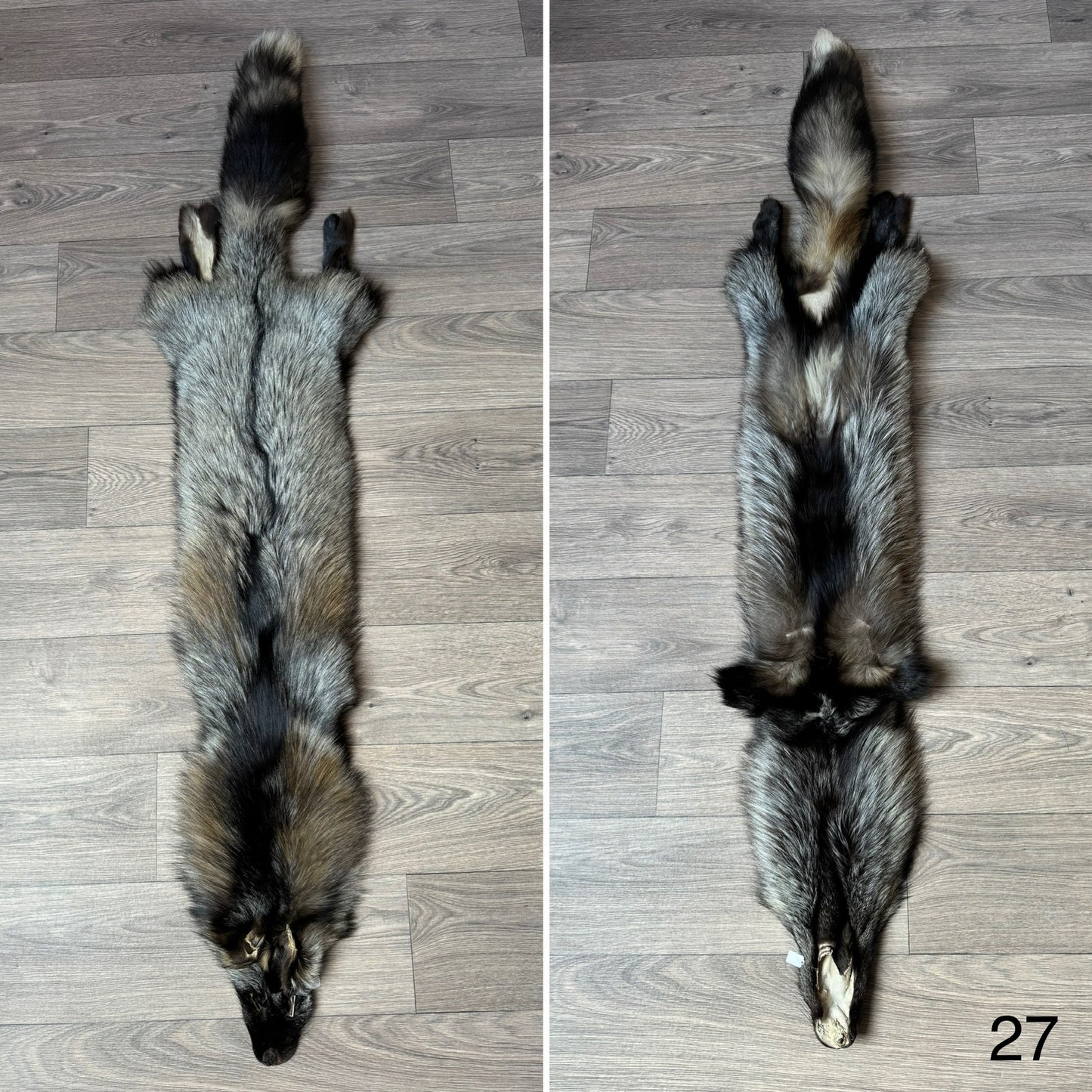 Cross fox pelt (27)