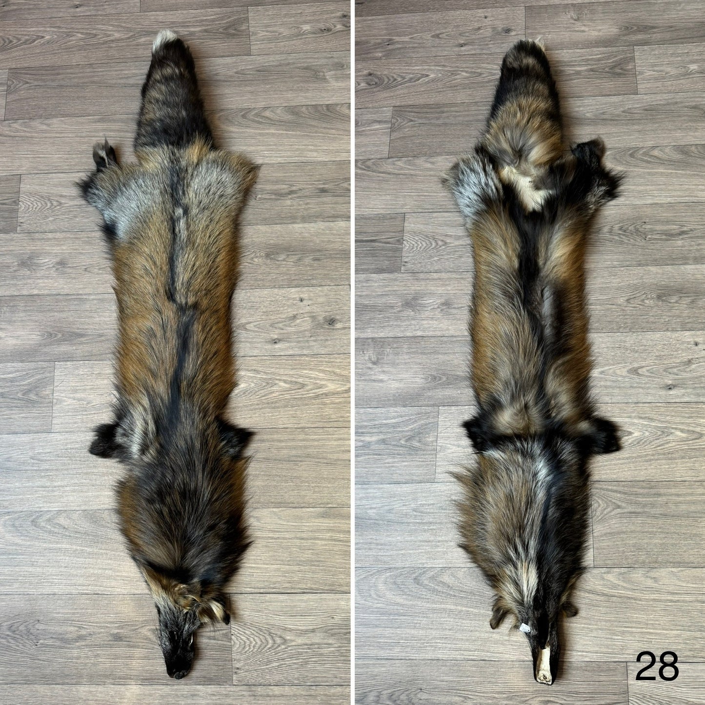 Cross fox pelt (28)