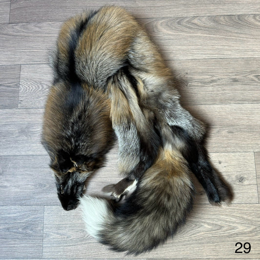 Cross fox pelt (29)