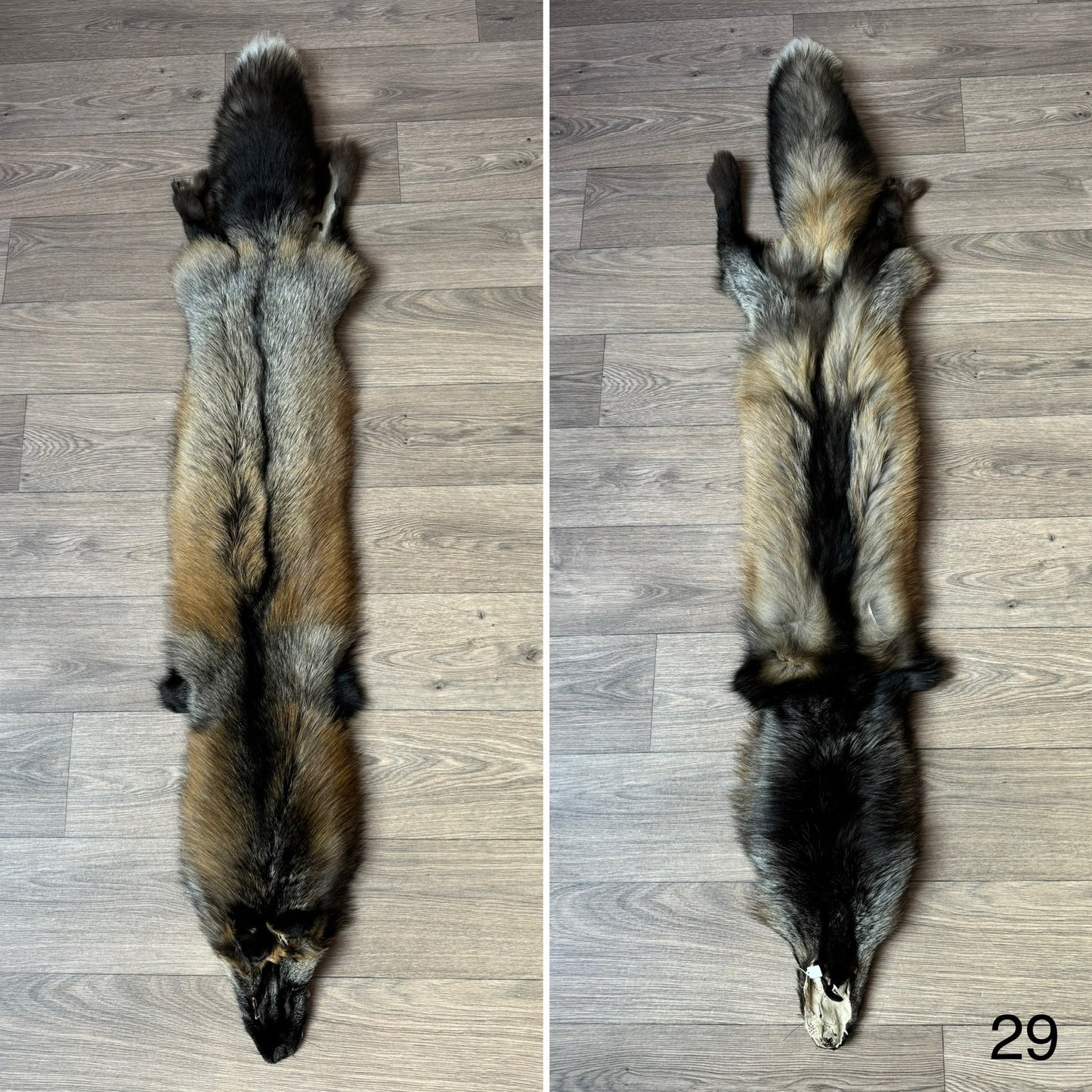 Cross fox pelt (29)