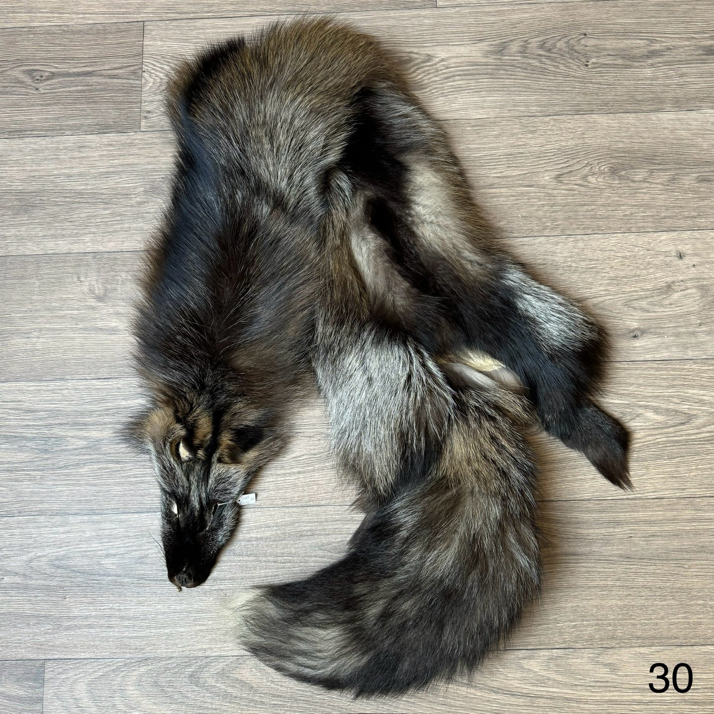 Cross fox pelt (30)