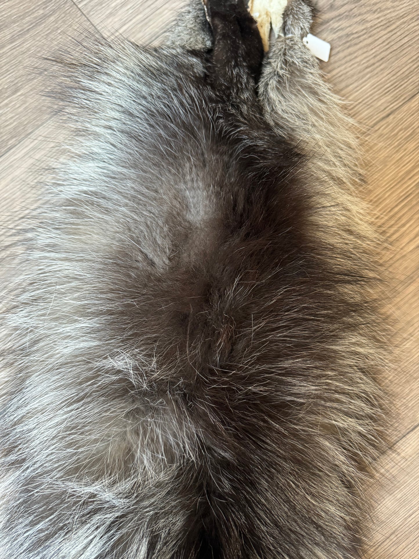 Cross fox pelt (30)