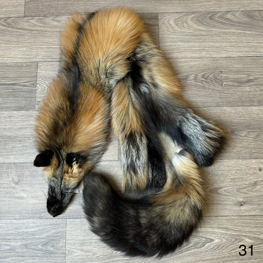 Cross fox pelt (31)