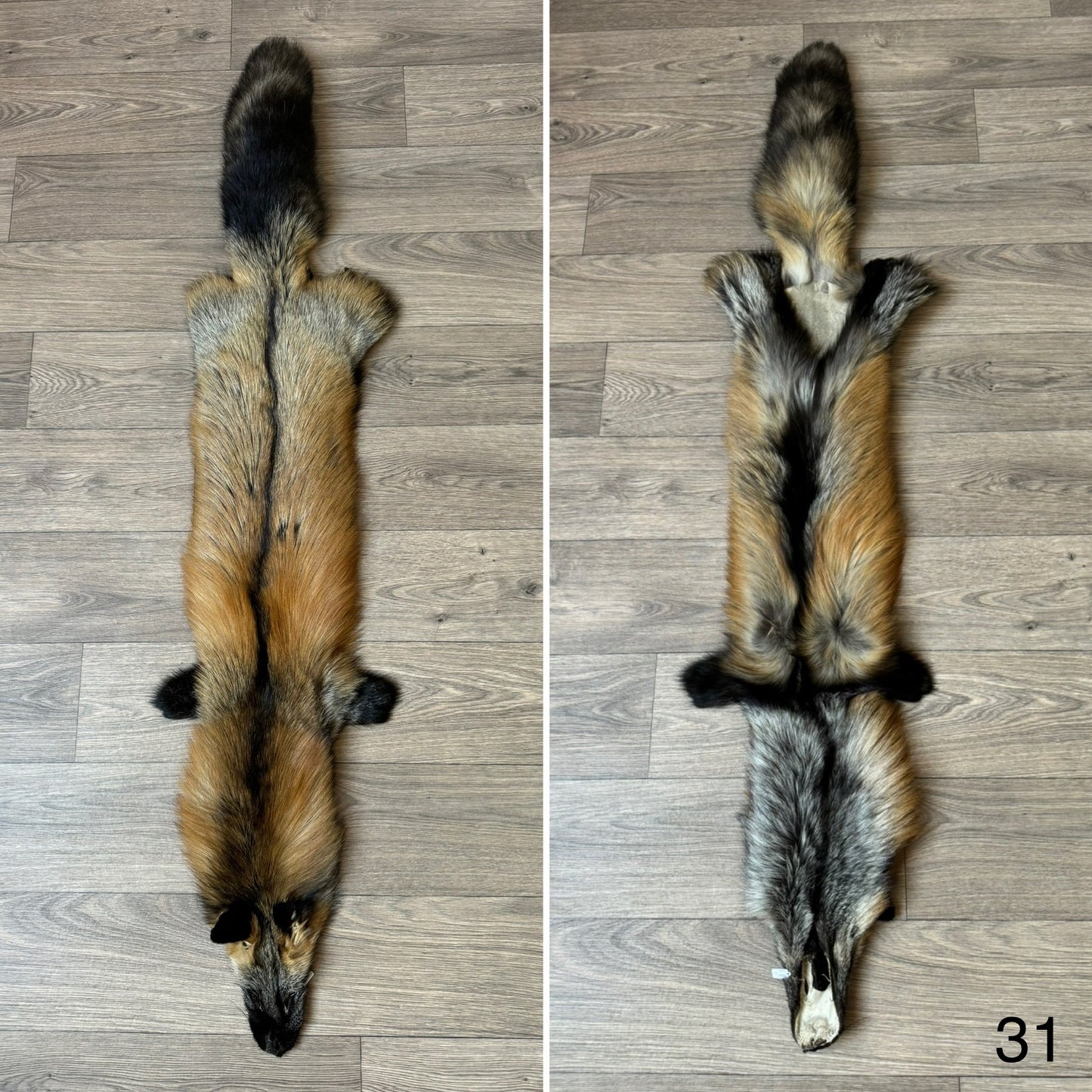 Cross fox pelt (31)