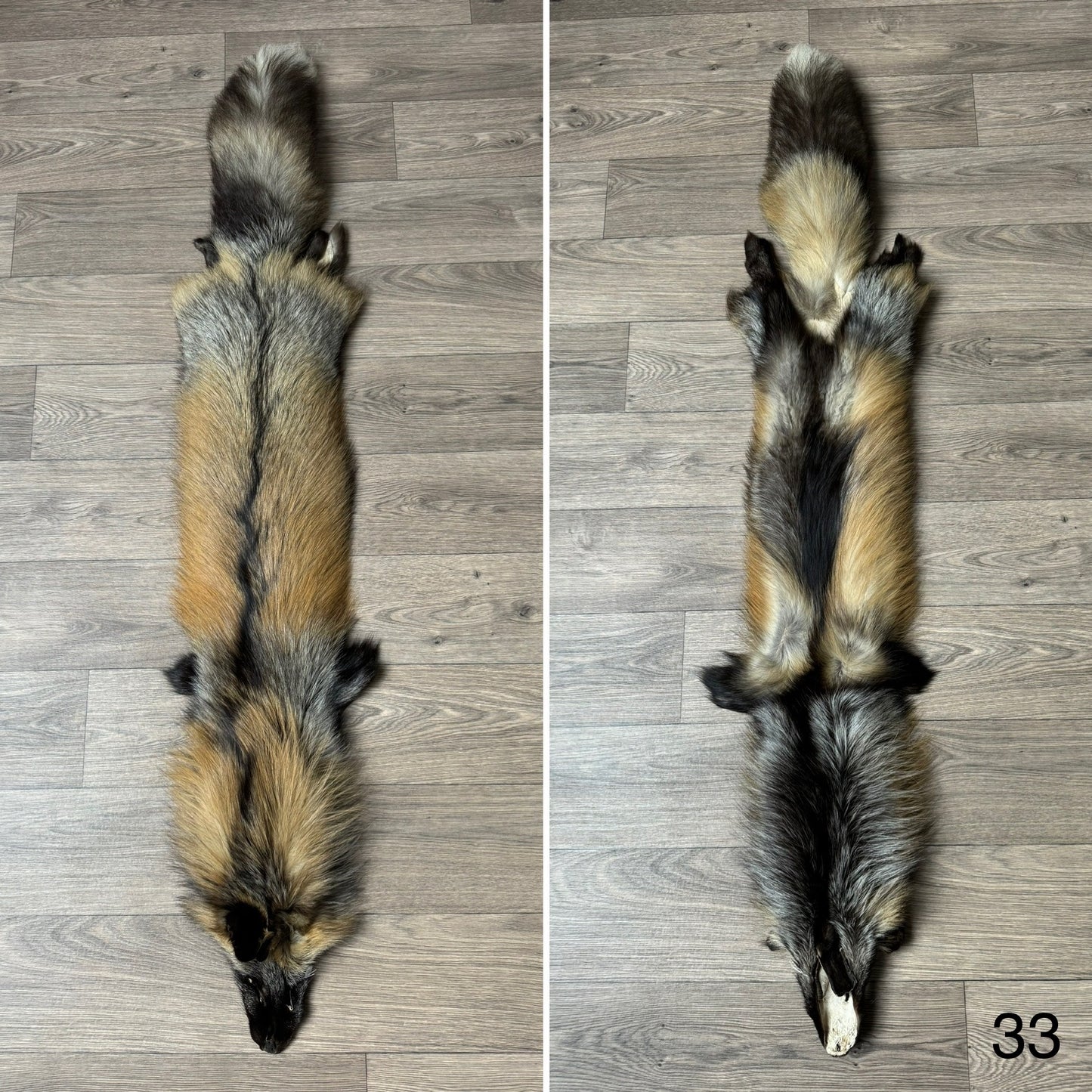 Cross fox pelt (33)