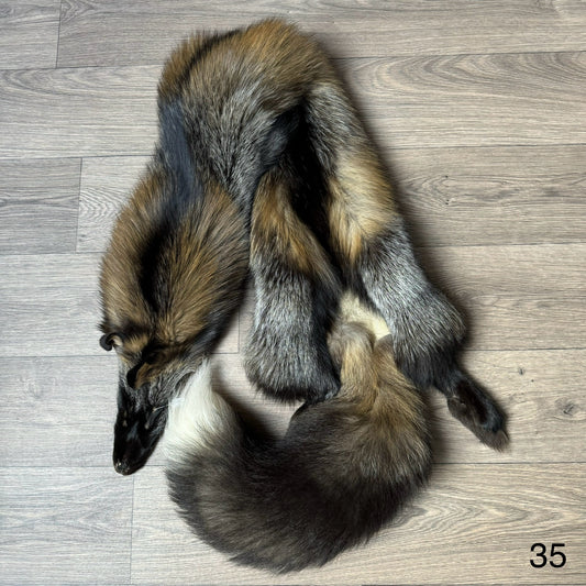 Cross fox pelt (35)