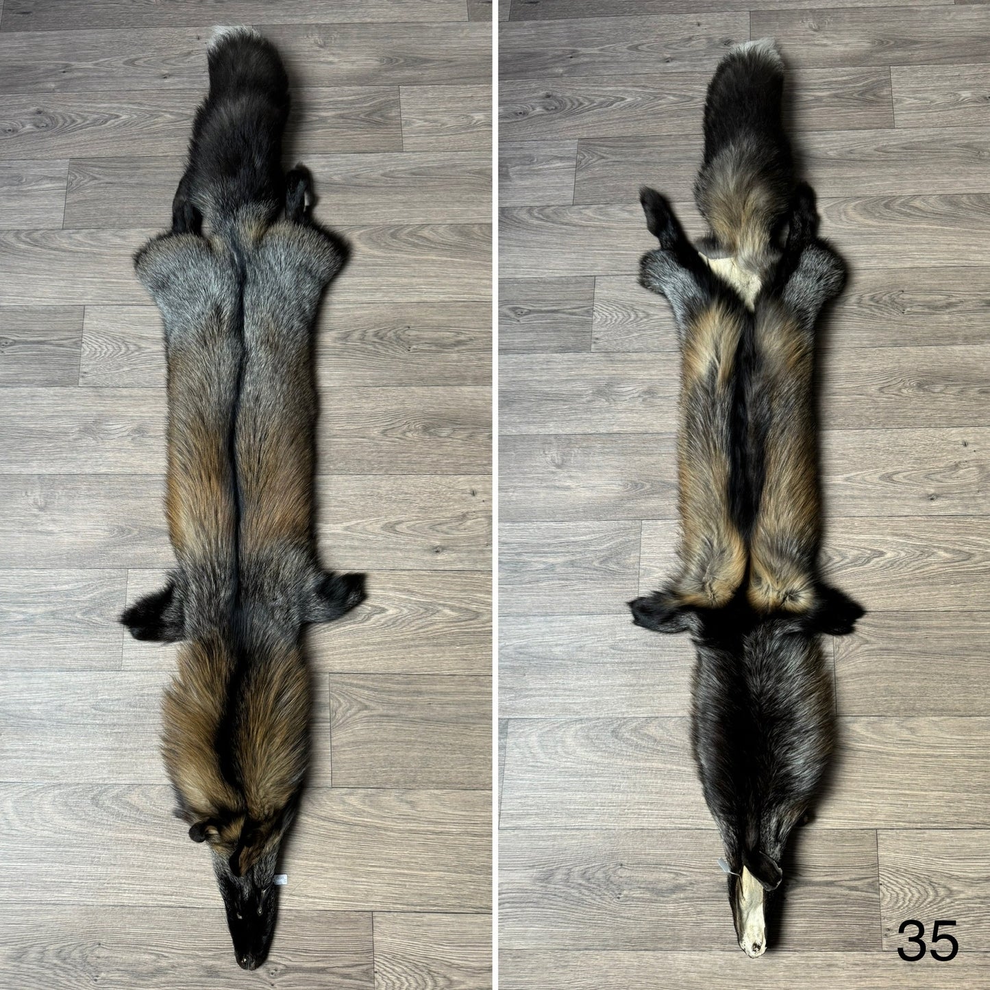 Cross fox pelt (35)