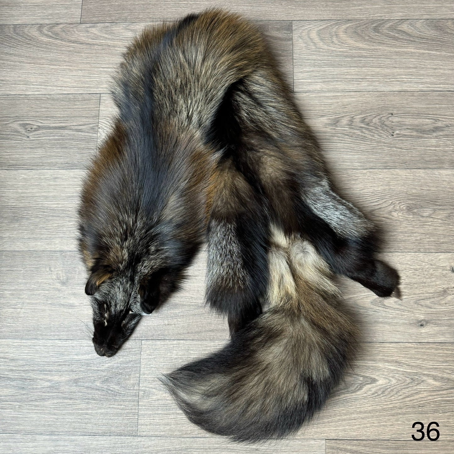 Cross fox pelt (36)