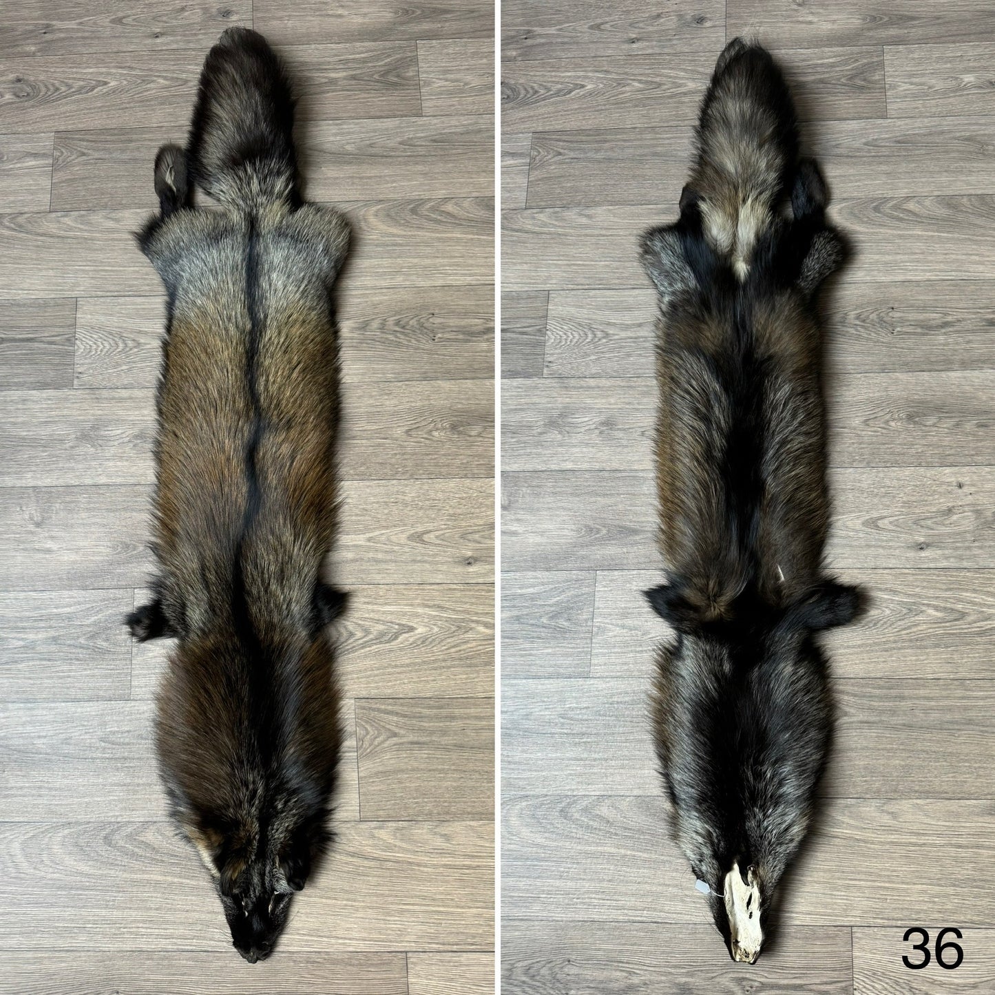 Cross fox pelt (36)