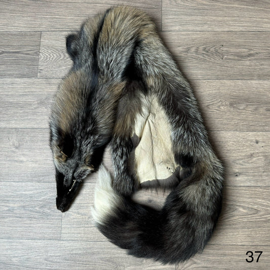 Cross fox pelt (37)