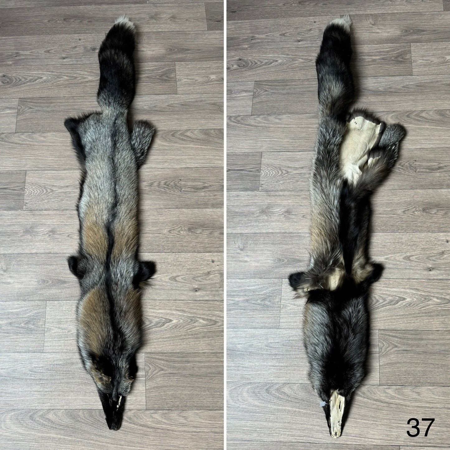 Cross fox pelt (37)