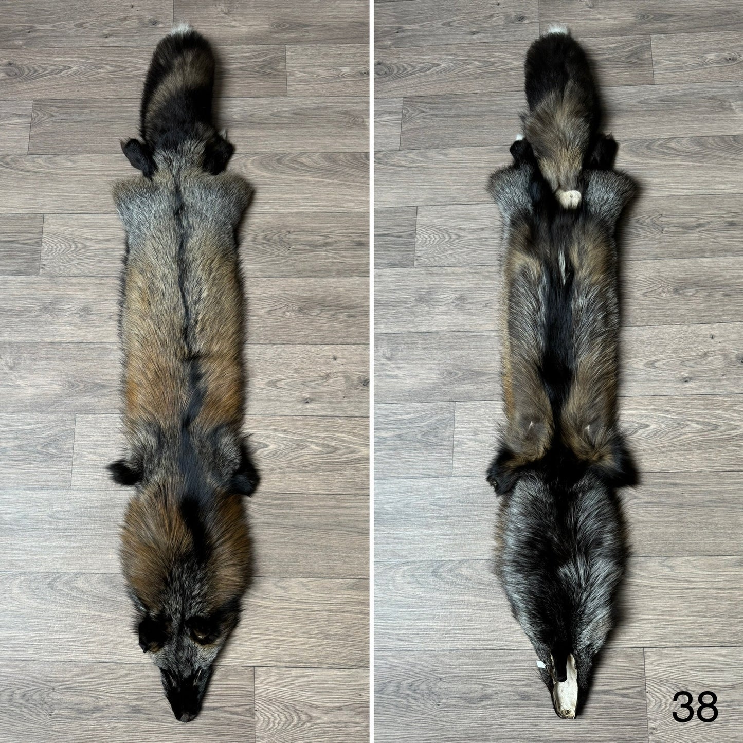 Cross fox pelt (38)