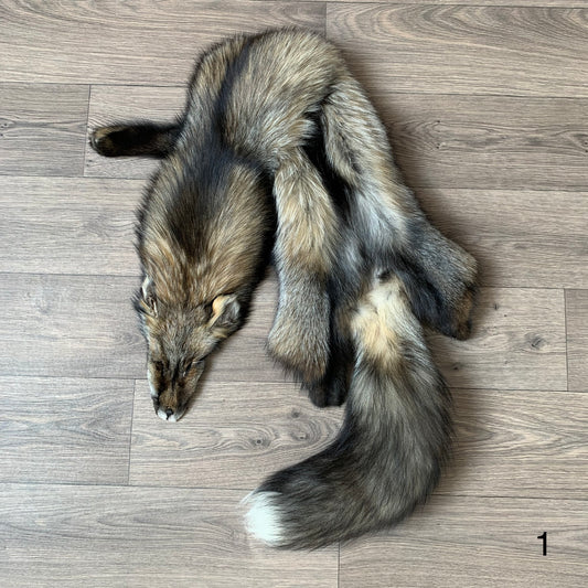 Smokey fox pelt (1)